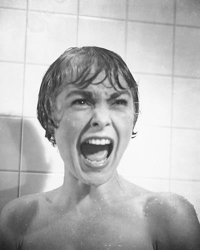 Janet Leigh 171257